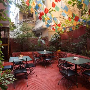 book here